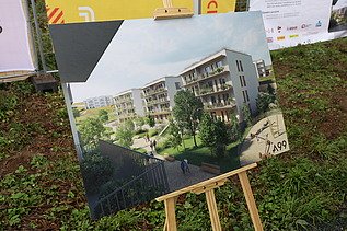 Pohled na vizualizace